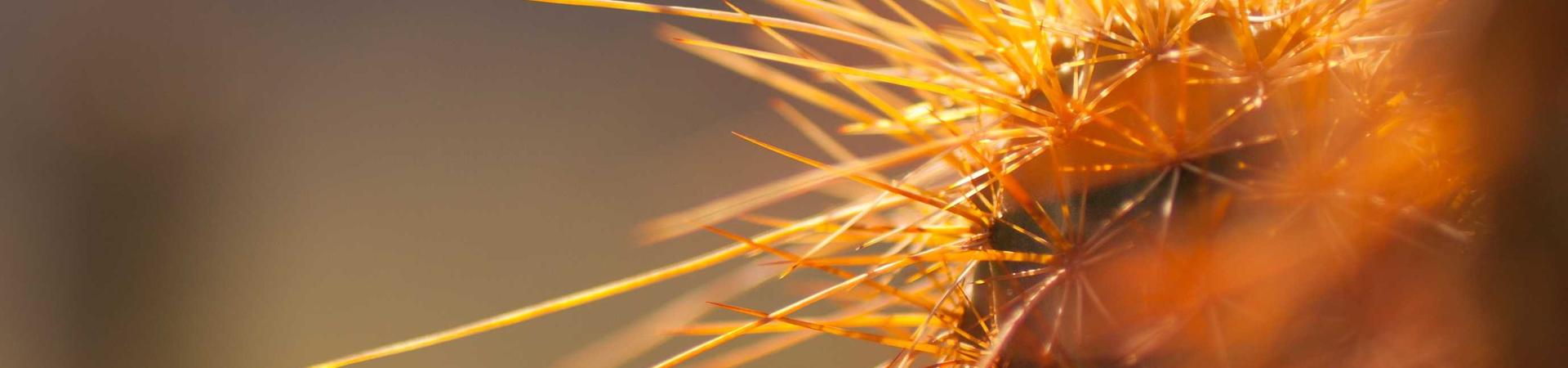 河南富喜工程机械租赁有限公司 &middot; 邳州分公司